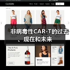 非病毒性CAR-T的过去、现在和未来(图4)