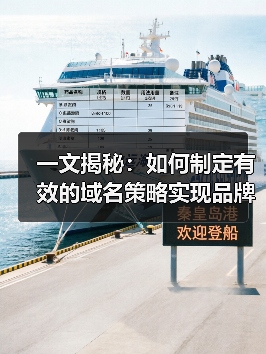 一文揭秘:如何制定有效的域名策略实现品牌崛起(图2) 一文揭秘:如何制定有效的域名策略实现品牌崛起(图2)