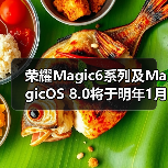 荣耀Magic6系列及MagicOS 8.0将于明年1月正式发布(图2)