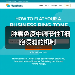 肿瘤免疫中调节性T细胞浸润的机制(图3)