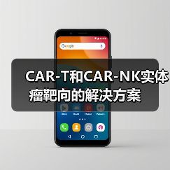CAR-T和CAR-NK实体瘤靶向的解决方案(图3)