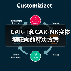 CAR-T和CAR-NK实体瘤靶向的解决方案(图4)