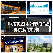 肿瘤免疫中调节性T细胞浸润的机制(图1)