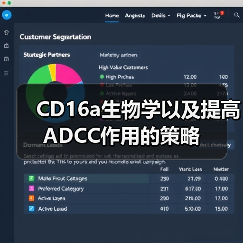CD16a生物学以及提高ADCC作用的策略(图1)