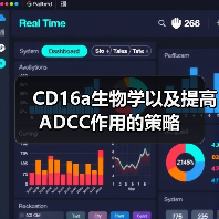 CD16a生物学以及提高ADCC作用的策略(图4)