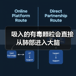 吸入的有毒颗粒会直接从肺部进入大脑(图1)