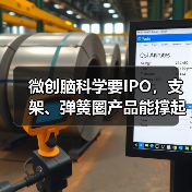 微创脑科学要IPO，支架、弹簧圈产品能撑起脑科学大饼吗？专利行吗？(图2)