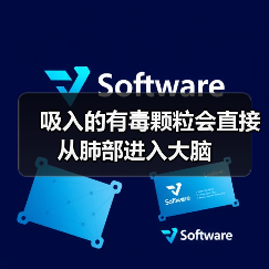 吸入的有毒颗粒会直接从肺部进入大脑(图4)