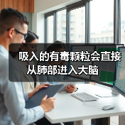 吸入的有毒颗粒会直接从肺部进入大脑(图3)