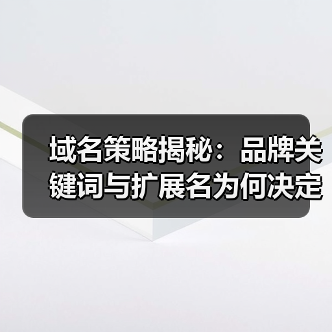域名策略揭秘:品牌关键词与扩展名为何决定你的线上命运(图1) 域名策略揭秘:品牌关键词与扩展名为何决定你的线上命运(图1)