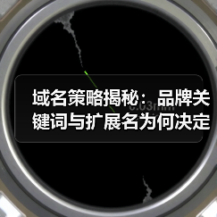 域名策略揭秘:品牌关键词与扩展名为何决定你的线上命运(图4) 域名策略揭秘:品牌关键词与扩展名为何决定你的线上命运(图4)