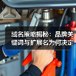 域名策略揭秘:品牌关键词与扩展名为何决定你的线上命运(图2) 域名策略揭秘:品牌关键词与扩展名为何决定你的线上命运(图2)