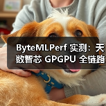 ByteMLPerf 实测:天数智芯 GPGPU 全链路技术解析,创新释放高效算力(图4) ByteMLPerf 实测:天数智芯 GPGPU 全链路技术解析,创新释放高效算力(图4)
