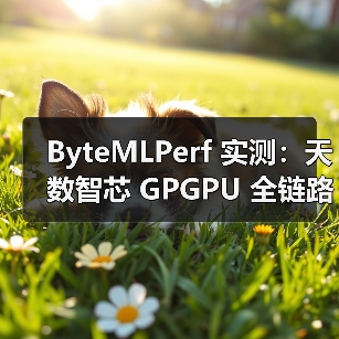 ByteMLPerf 实测:天数智芯 GPGPU 全链路技术解析,创新释放高效算力(图1) ByteMLPerf 实测:天数智芯 GPGPU 全链路技术解析,创新释放高效算力(图1)