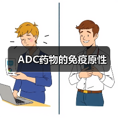 ADC药物的免疫原性(图1)