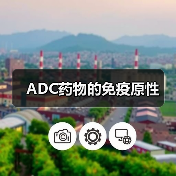 ADC药物的免疫原性(图2)