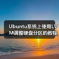 Ubuntu系统上使用LVM调整硬盘分区的教程(图4) Ubuntu系统上使用LVM调整硬盘分区的教程(图4)