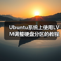Ubuntu系统上使用LVM调整硬盘分区的教程(图2) Ubuntu系统上使用LVM调整硬盘分区的教程(图2)