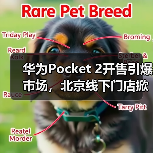 华为Pocket 2开售引爆市场,北京线下门店掀起排队抢购热潮(图4) 华为Pocket 2开售引爆市场,北京线下门店掀起排队抢购热潮(图4)