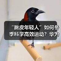 “脆皮年轻人”如何冬季科学高效运动?华为智能手表助你一臂之力(图4) “脆皮年轻人”如何冬季科学高效运动?华为智能手表助你一臂之力(图4)