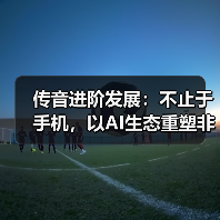 传音进阶发展:不止于手机,以AI生态重塑非洲数字未来(图2) 传音进阶发展:不止于手机,以AI生态重塑非洲数字未来(图2)