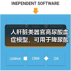 人肝脏类器官高尿酸血症模型，可用于降尿酸物质筛选评价(图1)