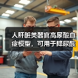 人肝脏类器官高尿酸血症模型，可用于降尿酸物质筛选评价(图3)