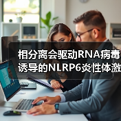 相分离会驱动RNA病毒诱导的NLRP6炎性体激活(图3)