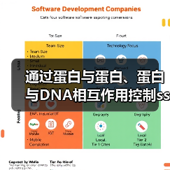 通过蛋白与蛋白、蛋白与DNA相互作用控制ssDNA结合蛋白的相分离(图3)