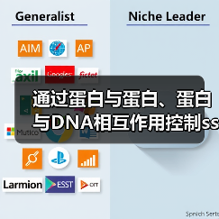 通过蛋白与蛋白、蛋白与DNA相互作用控制ssDNA结合蛋白的相分离(图1)