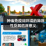 肿瘤免疫微环境的异质性及其临床意义(图3)