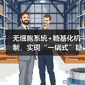 无细胞系统+糖基化机制，实现“一锅式”糖蛋白生物合成(图4)