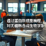 通过蛋白质组重编程，对无细胞合成生物学系统进行整体工程设计(图4)