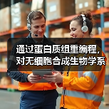 通过蛋白质组重编程，对无细胞合成生物学系统进行整体工程设计(图2)