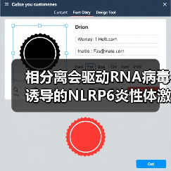 相分离会驱动RNA病毒诱导的NLRP6炎性体激活(图1)