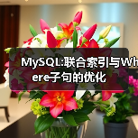 MySQL:联合索引与Where子句的优化(图1) MySQL:联合索引与Where子句的优化(图1)