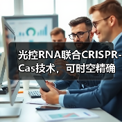 光控RNA联合CRISPR-Cas技术，可时空精确操纵活细胞的RNA代谢与功能(图2)