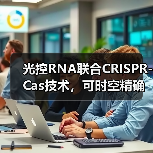 光控RNA联合CRISPR-Cas技术，可时空精确操纵活细胞的RNA代谢与功能(图4)