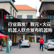 行业首发！智元×火花机器人联合发布机器狗表演方阵(图4)