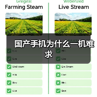 国产手机为什么一机难求(图4) 国产手机为什么一机难求(图4)