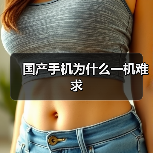 国产手机为什么一机难求(图2) 国产手机为什么一机难求(图2)