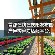 首都在线在庆阳发布国产异构算力适配平台,政企携手助力“庆阳速度”(图1) 首都在线在庆阳发布国产异构算力适配平台,政企携手助力“庆阳速度”(图1)