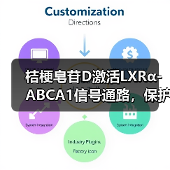 桔梗皂苷D激活LXRα-ABCA1信号通路，保护内毒素所致急性肺损伤(图3)