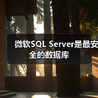 微软SQL Server是最安全的数据库(图2) 微软SQL Server是最安全的数据库(图2)