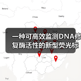 一种可高效监测DNA修复酶活性的新型荧光标记纳米开关(图4)