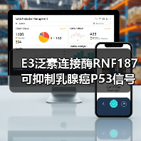 E3泛素连接酶RNF187可抑制乳腺癌P53信号传导、促进癌症生长(图1)