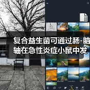 复合益生菌可通过肠-脑轴在急性炎症小鼠中发挥神经保护作用(图4)