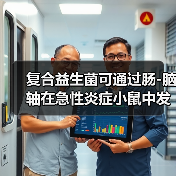 复合益生菌可通过肠-脑轴在急性炎症小鼠中发挥神经保护作用(图3)