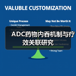 ADC药物内吞机制与疗效关联研究(图2)