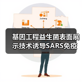 基因工程益生菌表面展示技术诱导SARS免疫应答(图4)